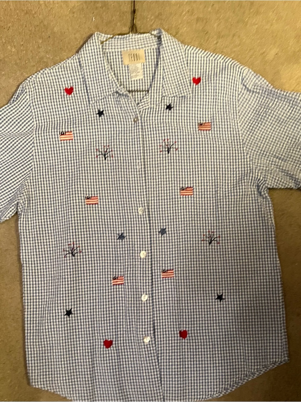 Teddi Blue Gingham Button-Down Shirt with Red & Navy Embroidery